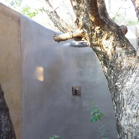 Naledi Lodges Balule Game Reserve Exterior photo