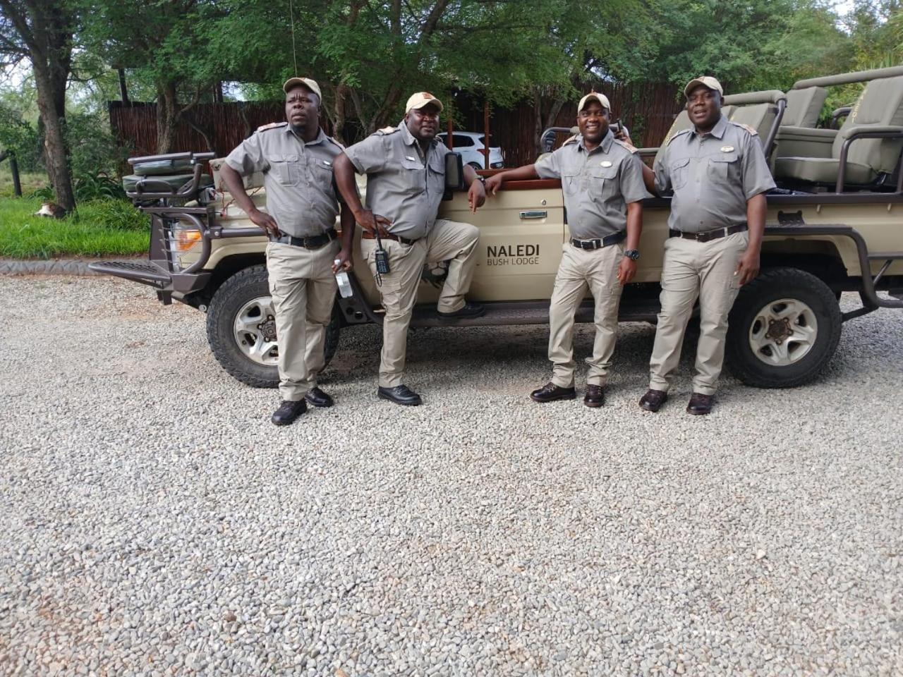 Naledi Bushlodge *