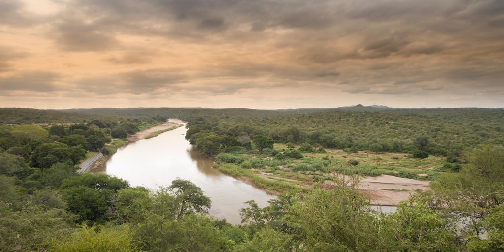Naledi Reserva de Caça de Balule
