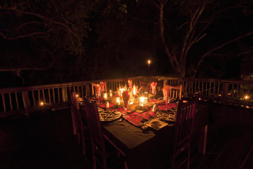 Naledi Reserva de Caça de Balule
