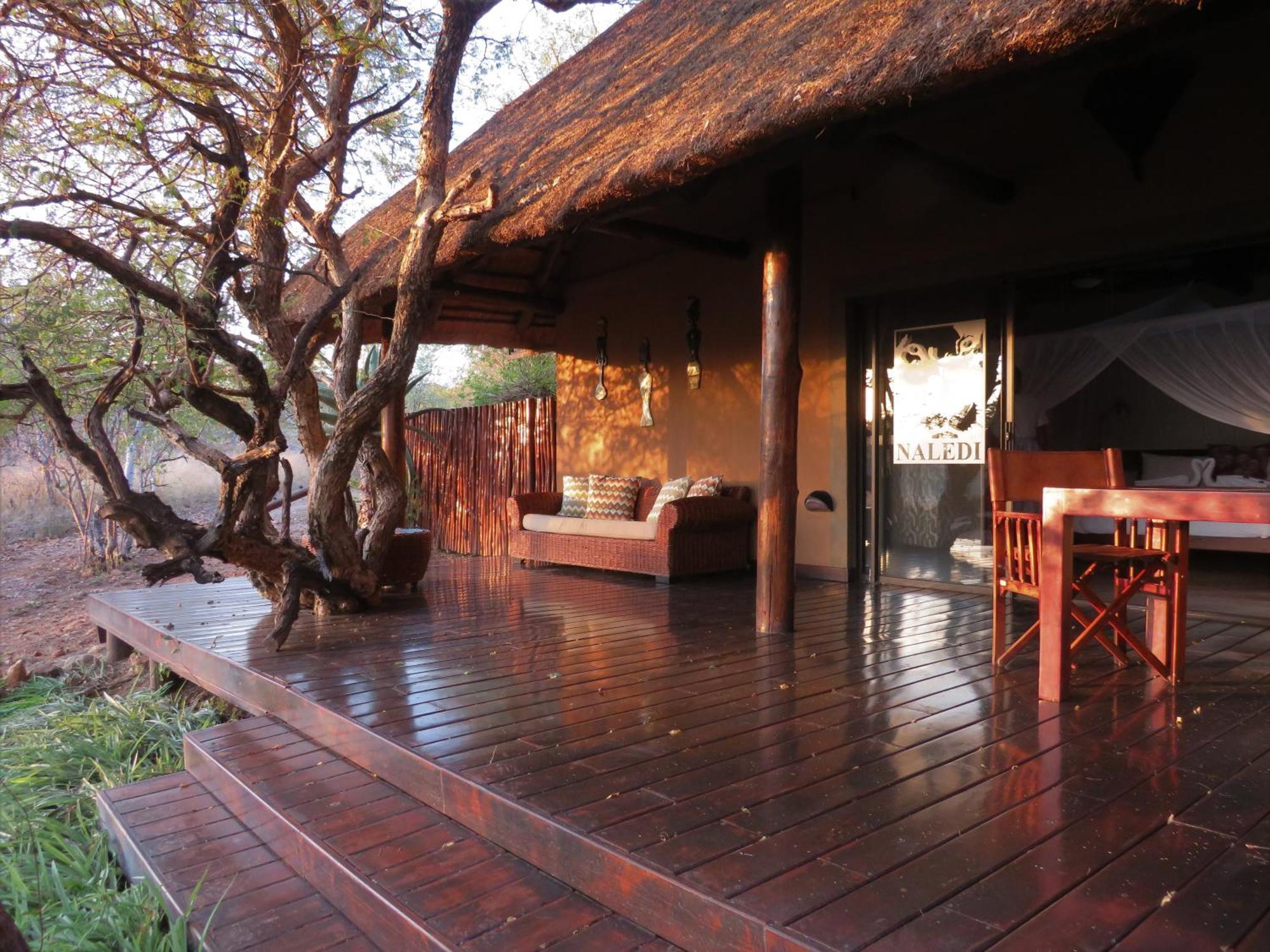 Lodge Naledi Balule Game Reserve